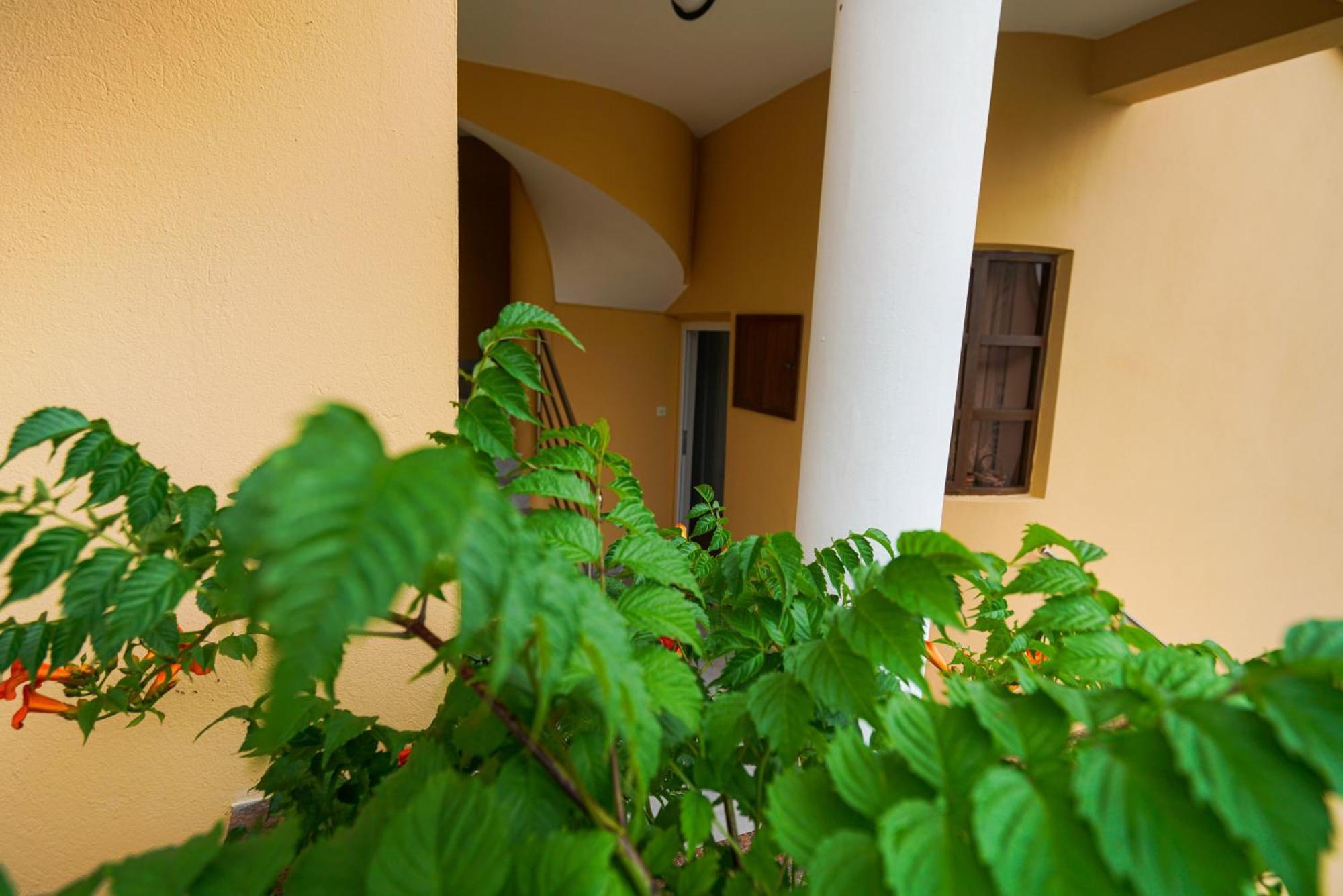 Apartments Osljak Preko Exterior photo